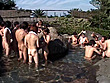 女10VS男10 バコバコヤリまくり発射、絶頂無制限！！ 第2回 混浴露天風呂お見合い（生）大乱交 サンプル画像9