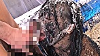 ローション、墨汁、どろんこまみれ！ウェット＆メッシー（WAM） AV女優○×クイズ 2 サンプル画像12