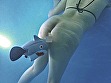 バイブヘッドシャーク水中アクメ サンプル画像3