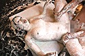 時間が止まる腕時計を使って僕だけのWAM美術館を作ろう - Image 4