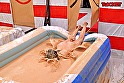 サンプル画像
