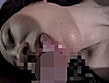 お姉さんがしてあげるDX 二人におまかせ 特濃！熟女スペシャル - Image 6
