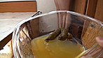 素人ナンパトイレ号がゆく 外伝 プレミア美人うんち 四 サンプル画像11