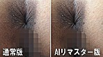 【AIリマスター版】素人ナンパトイレ号がゆく 外伝 人妻プレミアうんち 夫には見せられない！極上ミセス初脱糞