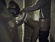 裏プレミア・シロウト投稿動画 ディレクターズカット サンプル画像16