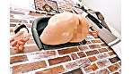 サンプル画像