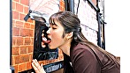 サンプル画像