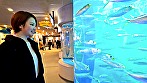 水族館デートしてSEX 画像1