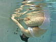 全裸シンクロ - Image 11