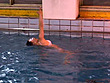 全裸シンクロ - Image 16