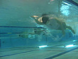 全裸水泳2 - Image 6