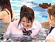 SOD女子社員VS超人気＆新人AVアイドル ドキッ！丸ごと下着イイ女だらけの水泳大会 総勢27名200分SP サンプル画像13