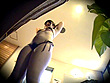 ウブくて可愛くてエロくて抜けちゃうお嬢さんが大量出演！ 2009男湯温泉祭り開催in甲府湯村温泉 サンプル画像5