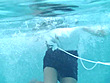 2009 SOD女子社員 ドキッ！！ポロリだらけの丸ごと下着水泳大会 イメージ8