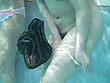 2009 SOD女子社員 ドキッ！！ポロリだらけの丸ごと下着水泳大会 イメージ18