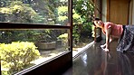 「若かりし頃の妻によく似た美女との純愛」 サンプル画像10