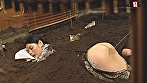 砂風呂に埋まって動けない拘束エステ 媚薬と熱気で火照ったカラダは感度10倍！すぐ隣にほかの客がいるのに何度も漏らしてイキまくり！さらに！マ●コの疼きが抑えきれず固定されたまま挿入を懇願！！ めい（23）OL【配信限定で復刻】 サンプル画像8