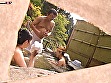 Digest Image 5