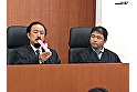 サンプル画像