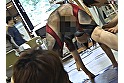 サンプル画像