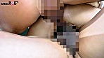サンプル画像