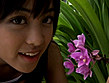 MINNA no ANNA 川村あんな 画像13