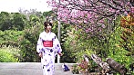 はんなり 河村美咲 画像13