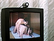 好きもの女房 ハメ狂い 画像(^^♪34