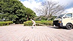 木更津体育大学 相撲部女子「男には負けたくない、絶対に」土俵に立ったら、表情を崩さず何をされても取り組みする！！