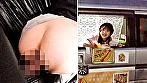 サンプル画像