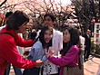 女子大生＆OL突撃土下座ナンパ16 - Image 2