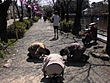 追跡FUCK！！城下町土下座人妻ナンパ30 小田原編 サンプル画像2