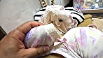 ピチピチの体を武器におじさんを骨抜きにする家出女子 サンプル画像3