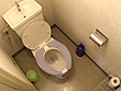 超萌え萌えメイドのトイレ指オナニー盗撮 5 サンプル画像7