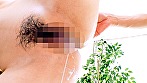 サンプル画像