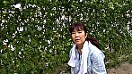 ビニールハウスで収穫中の熟女さんに突撃AV撮影！AV女優が演技かどうか体験実習！
