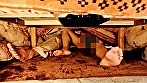 Digest Image 2