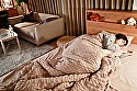 あなたがいない夜なんて