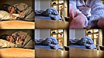 【むちむち巨乳OLを盗撮しまくり中出し睡眠姦!】お土産のぬいぐるみにカメラを仕掛けて巨乳の同僚にプレゼント。日常隠し撮りからの寝静まったのを確認して自宅侵入!中出し!大量乳射!【トイレ盗撮/日常盗撮/自宅侵入/睡眠姦】 cs smn0725 03 T1654910954 - 【むちむち巨乳OLを盗撮しまくり中出し睡眠姦!】お土産のぬいぐるみにカメラを仕掛けて巨乳の同僚にプレゼント。日常隠し撮りからの寝静まったのを確認して自宅侵入!中出し!大量乳射!【トイレ盗撮/日常盗撮/自宅侵入/睡眠姦】