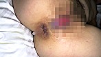 サンプル画像