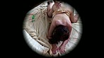 家族 SEX盗撮 サンプル画像5
