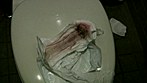 コンビニのトイレで集めたナプキン 2 サンプル画像3