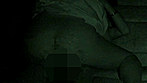 覗き愛好家！！激撮カーセックス盗撮24時BEST
