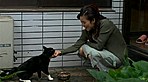 猫の家族 4
