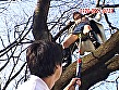 ヤリック 「エロネット武田」の淫謀！？ - Image 4