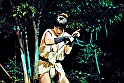 真田くノ一忍法伝 かすみ 内乱！幸村暗殺！ 画像7