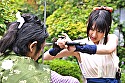 真田くノ一忍法伝 かすみ 激突！はぐれ甲賀軍団！！ 画像4