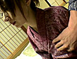 ～本物人妻密会ドキュメント～ 人妻不倫旅情 第三巻 サンプル画像19