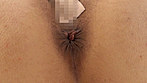 熟女の肛門観察 サンプル画像11