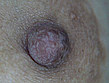 100人の乳首 第3集 サンプル画像15